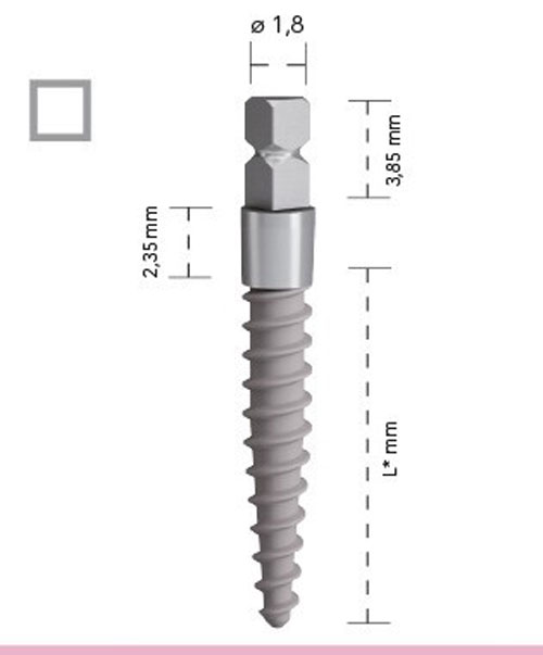 mini-screw